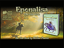 Web advert for a book